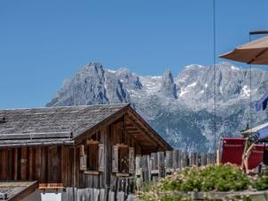 Fotografie z fotogalerie ubytování Holiday Home Waldkauz groß by Interhome v destinaci Pfarrwerfen