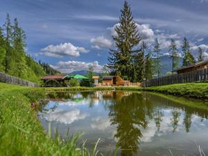 Fotografie z fotogalerie ubytování Holiday Home Waldkauz groß by Interhome v destinaci Pfarrwerfen