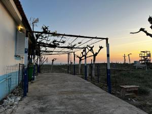 Východ nebo západ slunce při pohledu z venkovského domu nebo okolí