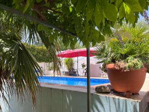 a pool with a table with plants and a red umbrella at LOFT Huetor Santillan in Huétor Santillán