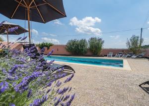 a swimming pool with an umbrella and some purple flowers at Apple Mount Retreat in Lavenham +24 photos