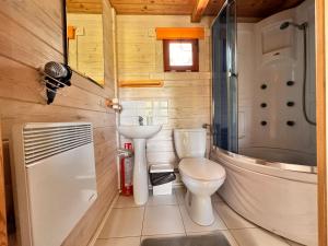 a small bathroom with a toilet and a sink at Hubertówka Czapiewice in Czapiewice