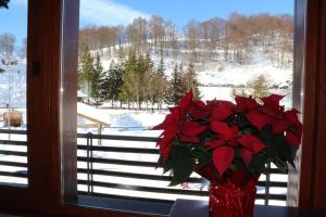 Hotel Laghetto during the winter