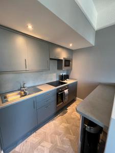 The Globe Apartments的厨房或小厨房