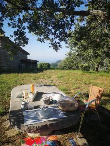 Jardín al aire libre en Le Cabanon de Gourdon bergerie rénové en pierre vue mer