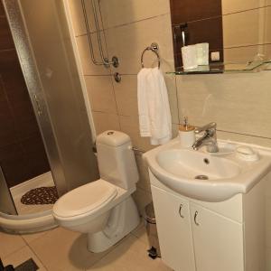 ein Badezimmer mit Toilette und Waschbecken in der Unterkunft Kraljevski kutak Kraljevi čardaci in Kopaonik + 10 Fotos