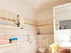 ein Badezimmer mit Dusche, Toilette und Waschbecken in der Unterkunft Das Talhaus in Süsel + 16 Fotos
