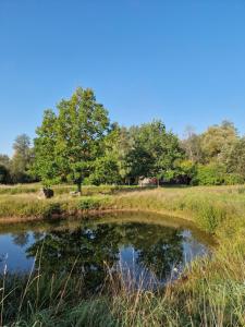 Gallery image of Sauna House in the forest in Druzhili