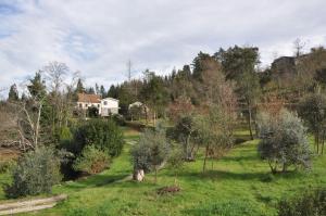 Naturlandskabet i nærheden af feriehuset