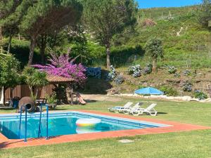 a pool in a yard with two chairs and an umbrella at Quinta de Souto Velho in Terras de Bouro