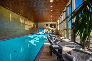 Bazén v ubytování President Hotel Montfort nebo v jeho okolí