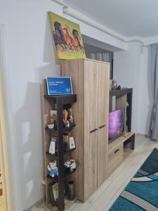 a bookcase with a television in a room at Luxury 1 Bedroom Apartment in Roşu +11 photos