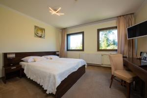 TV a/nebo společenská místnost v ubytování President Hotel Montfort