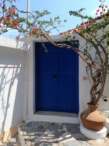 a blue door on a white building with a tree at Spitaki in Skopelos Town +15 photos