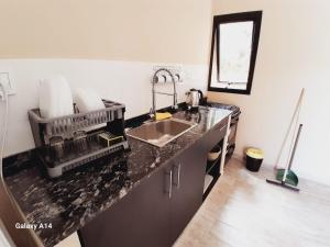 a kitchen with a sink and a counter top at Piracuacito in Paso de la Patria