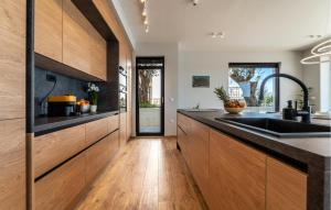 Kuchyň nebo kuchyňský kout v ubytování Gorgeous Home In Posedarje With Sauna