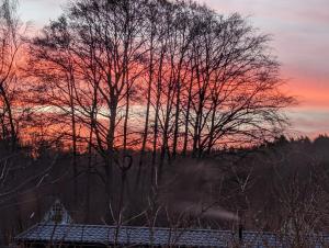 a tree with a sunset in the background at Anisha in Stuer