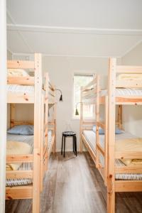 a room with four bunk beds in a hostel at First Camp Gunnarsö-Oskarshamn in Oskarshamn
