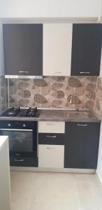 a kitchen with a stove and a sink at Luxury 1 Bedroom Apartment in Roşu