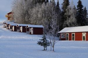 a small tree in the snow next to a building at Ristafallets Camping in Nyland