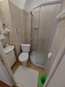 a bathroom with a shower and a toilet and a sink at Vila Puskin - Eforie Sud in Eforie Sud +20 photos