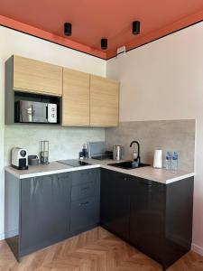 a kitchen with black cabinets and a counter top at Apartament TAMAJA in Bielsko-Biala +7 photos
