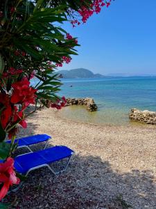 Naturlandskabet i nærheden af feriehuset