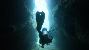 Hosté ubytování Dive and Surf 1