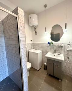 a bathroom with a toilet and a sink and a shower at Apartament TAMAJA in Bielsko-Biala