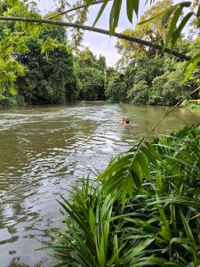a person swimming in a river in the jungle at Ridge Boundary View in Dambulla