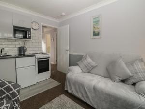 a living room with a couch and a kitchen at Flat 4, Big Tree Holiday Flats in Paignton