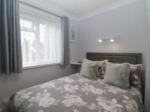 a bedroom with a bed and a window at Flat 4, Big Tree Holiday Flats in Paignton