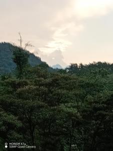 Billede fra billedgalleriet på Casa familiar i Rio Celeste