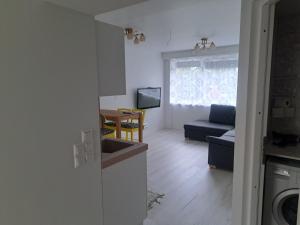 a kitchen and living room with a sink and a couch at Koidula külaliskorter in Võru +4 photos