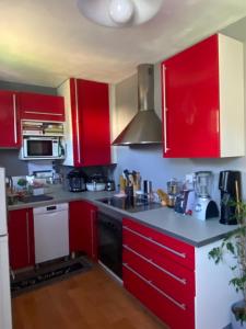 Kuchyň nebo kuchyňský kout v ubytování Appartement dans résidence calme