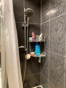 Koupelna v ubytování Appartement dans résidence calme + 27 fotografií