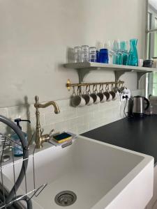 Dapur atau dapur kecil di La Vieille Ferme de Tassigny +24 gambar