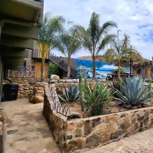 una pared de piedra con plantas delante de una casa en Oasis, en Buena Vista