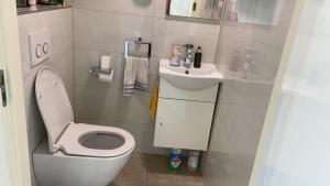 a small bathroom with a toilet and a sink at Room D no bathroom, geen badkamer in Aalten +6 photos