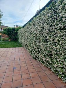 A garden outside Piscina de sal Barbacoa Wifi, Parking Gratis, 3 min PGA Casa El Roble