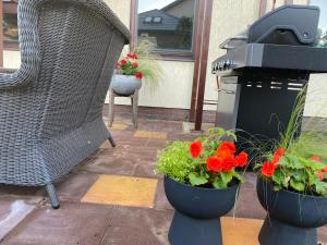 Zahrada ubytování Konrads Apartment
