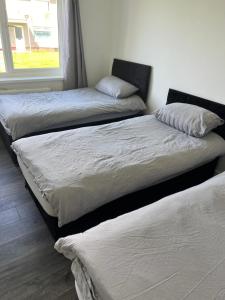 three beds sitting next to each other in a room at Cherry Blossom in Pembrokeshire