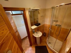 a bathroom with a shower and a sink at Areál Kamínka - POKOJE A APARTMÁNY in Roštín
