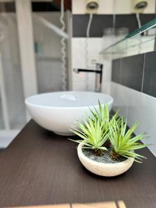 Fotografie z fotogalerie ubytování Hotel Locanda Castagnola v destinaci Lugano