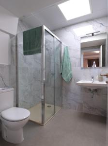 a bathroom with a shower and a toilet and a sink at V11apartamentos 3 in Archidona