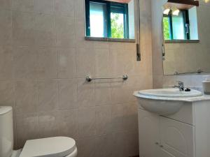 a bathroom with a sink and a toilet and a mirror at Quinta da Graça Casa do Artista 2 in Resende +1 photo