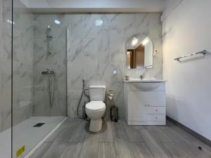 ein Badezimmer mit Dusche, Toilette und Waschbecken in der Unterkunft Quinta da Graça Casa do Artista in Resende