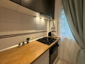 una cocina con estufa y encimera en LEX Apartments, en Bucarest