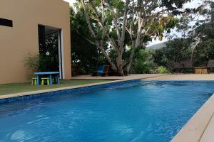 Bazén v ubytování Alojamiento completo en el mejor clima de Colombia nebo v jeho okolí