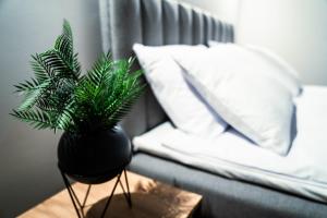 Postel nebo postele na pokoji v ubytování Apartamenty I SORAU + 117 fotografií